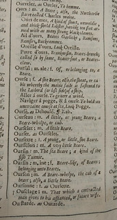 French-English Dictionary 1650 Ours-Bear