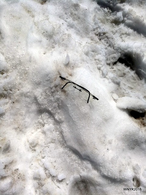 Spectacles in the Snow