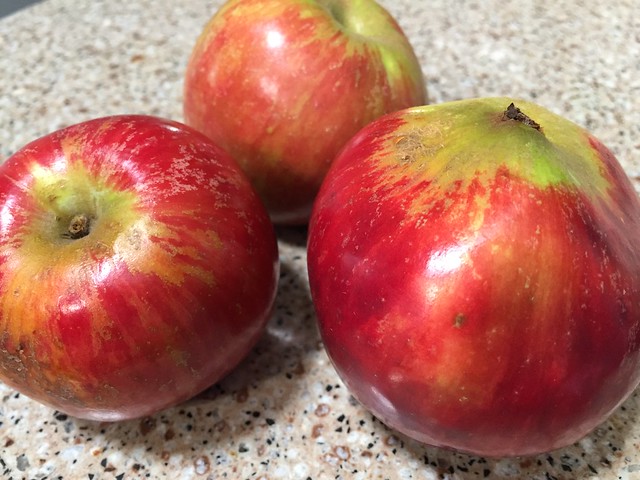 Gravenstein apples