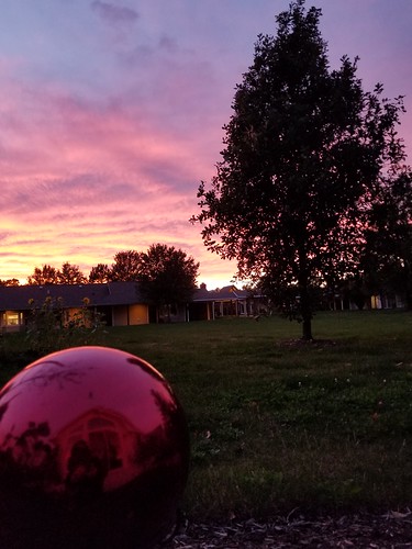 red sunset ball acpalmer gazing silhouette tree s8 20181015gazingsunset190004