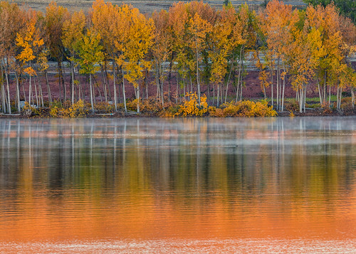 fall autumn mist lake reflections trees gold colors landscape colorado chatfieldstatepark lakechatfield
