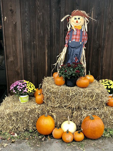 fall pumpkins leaves mums scarecrow giftshop decorations decor outdoor