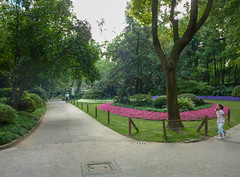 Photo 3 of 4 in the Zhongshan Park gallery