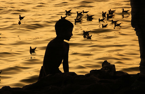 debmalyamukherjee canon550d 18135 mumbai gatewayofindia silhouette birds sunrise chandannagar
