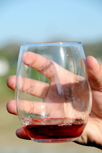 The Beginners Guide to Wine Tasting