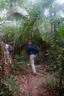 6-039 Wandeling door de jungle