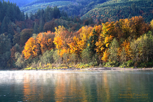 skagitriver fallcolor autumncolor fall autumn color colour river