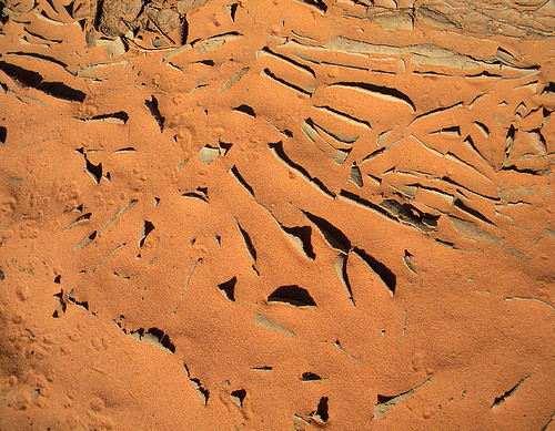 Sandscape at Buckskin Gulch, a hike on the Utah-Arizona Borderlands