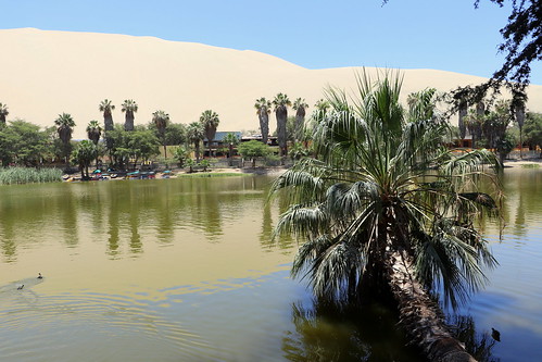 J30 : 17 octobre 2018 : Ica et Oasis Huacachina