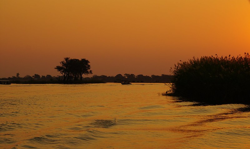 Chobe Riverfront: safari en 4x4 y crucero por el río - BOTSWANA, ZIMBABWE Y CATARATAS VICTORIA: Tras la Senda de los Elefantes (45)