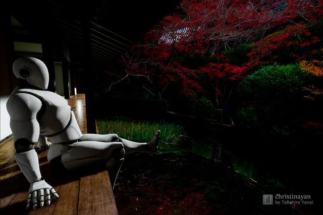 Mannequin watching red maples in Japanese Engawa (縁側と紅葉)
