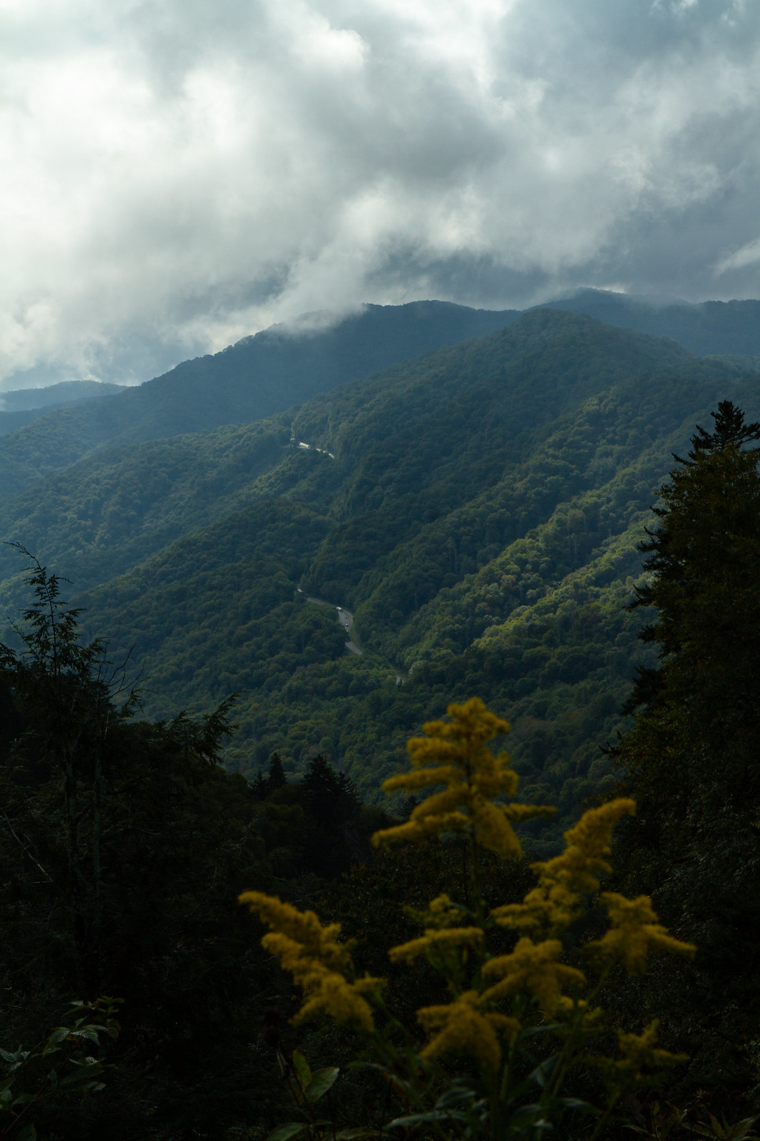 great smoky mountain national park out of boundaries