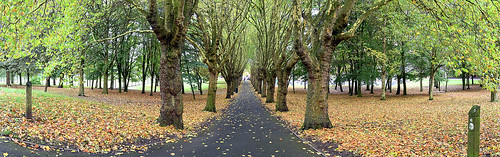 aston astonpark parks autumn autumncolours autumnleaves nikon nikond5500 tamron tamron18270mmzoomlens panorama panoramic path footpath trees landscape