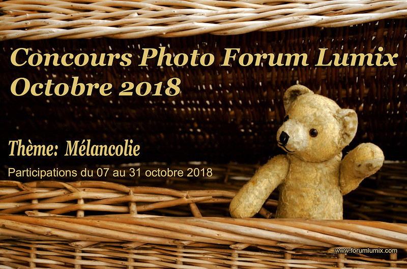 Concours d'octobre 2018 "MELANCOLIE" 45136554672_8757d828fa_c
