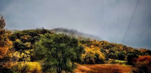 fall fallcolors foliage fog topaz landscape