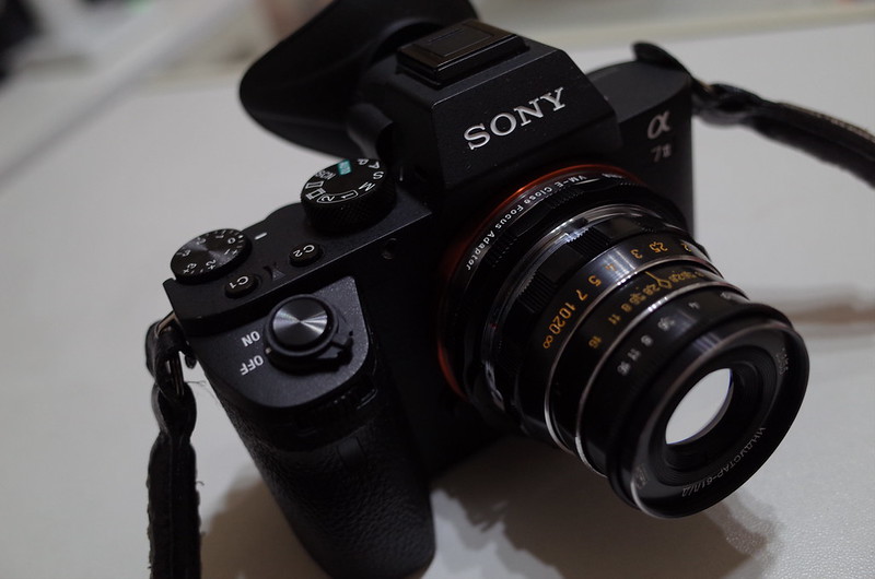 Sony α7Ⅱ+Voigtlander MOUNT ADPTER VM E+Leica LMリング28 90+Industar 61 L D 55mm f2