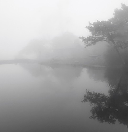 mist waterreflections reflections bw blackandwhite pond wachusettmountainstatereservation mountwachusett foggy fog