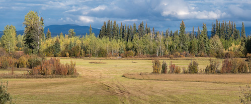 britishcolumbia canada northamerica meadow panorama the180 thecariboo