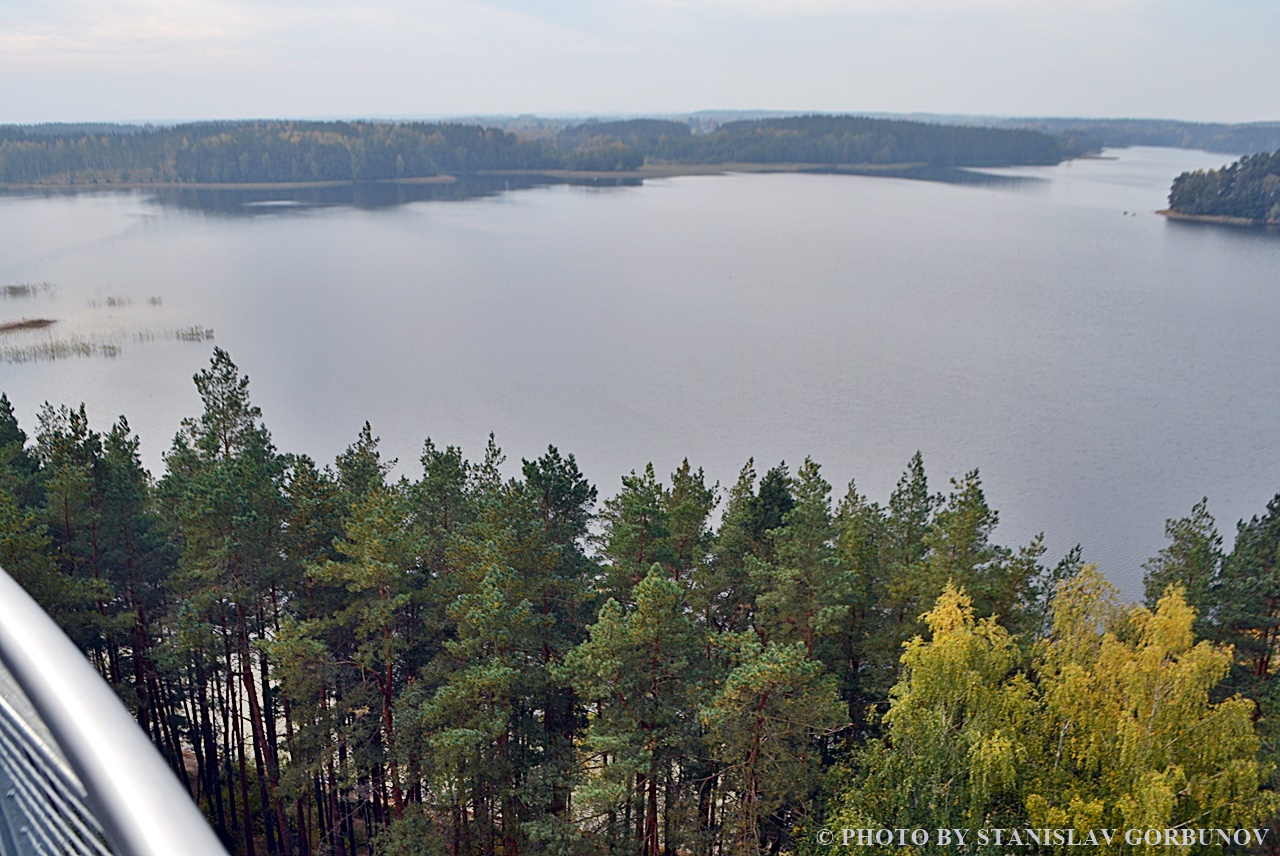 Лабанорская пуща – самый крутой лес Литвы можно, здесь, Литвы, неподалёку, башни, также, посещения, лучше, построена, практически, озёрах, После, чистейших, Здесь, может, больших, видов, напоминает, чемто, ствол