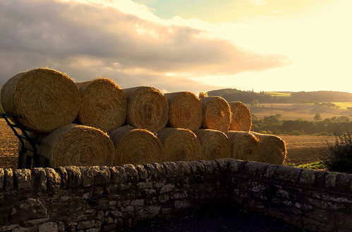 hadrianswallpath bales harvest animalfeed sunset wall hexham northumberland landscapephotography england