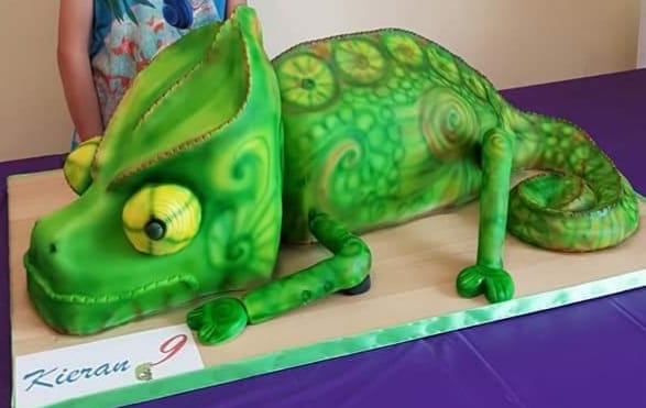 Chameleon Cake by SK Cakes