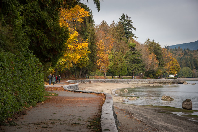Autumn in Stanley Park