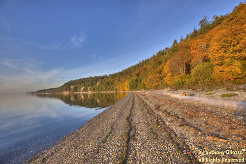 camanoisland washington unitedstates us autumn foliage leaves orange water fall colorful view landscape shoreline