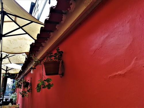 cafe restaurant red wall flower flowerpot lamp roof architecture color colour beautiful pretty paint bright light city town village culture travel coffee shop cusco peru leaf plant planter hang hanging