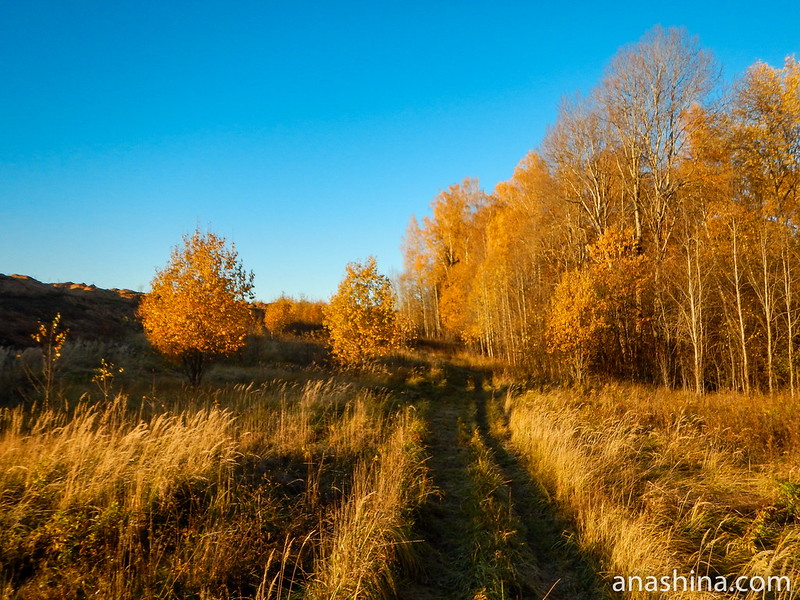 Полевая дорожка между карьером и лесом, Московская область, городской округ Мытищи