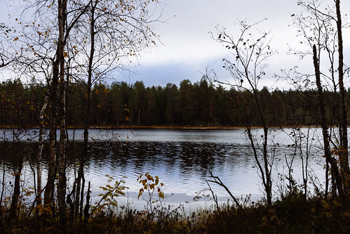 rautavaara finland suomi tiilikkajärvinationalpark tiilikkajärvenkansallispuisto sammakkojärvi järvi lake vesi water