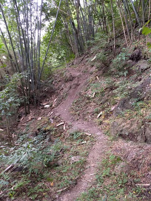 ตะนาวศรีเทรล 2017 TNT60 (Tanaosri Trail 2017)